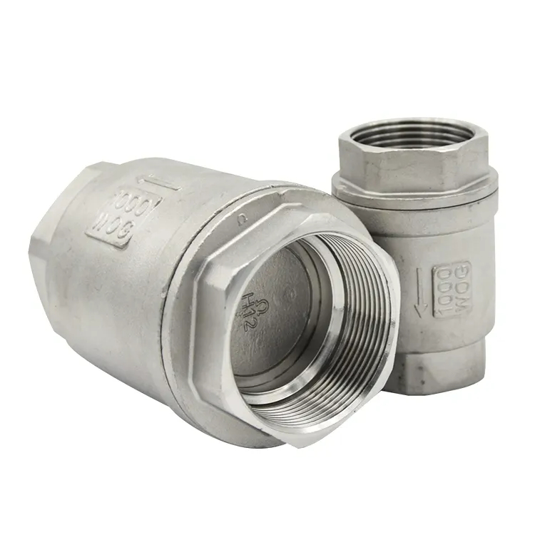 China Pntek Stainless Steel One Way Non Return Check Valve Npt Bsp